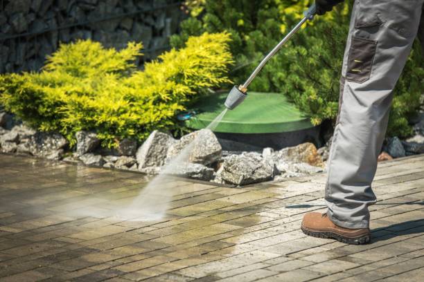 Best Dumpster Area Cleaning  in East Mountain, TX